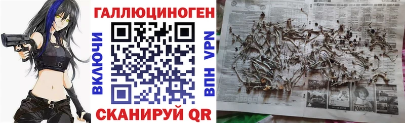 Галлюциногенные грибы мицелий  Купить  Вязьма 